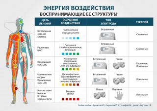 СКЭНАР-1-НТ (исполнение 01)  в Иванове купить Скэнар официальный сайт - denasvertebra.ru 