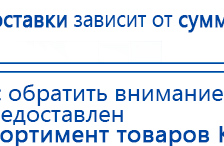 Электроды Скэнар -  двойной овал 55х90 мм купить в Иванове, Электроды Скэнар купить в Иванове, Скэнар официальный сайт - denasvertebra.ru